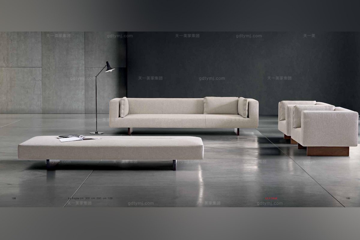  Dema高端時尚簡約現代客廳淺色沙發套組