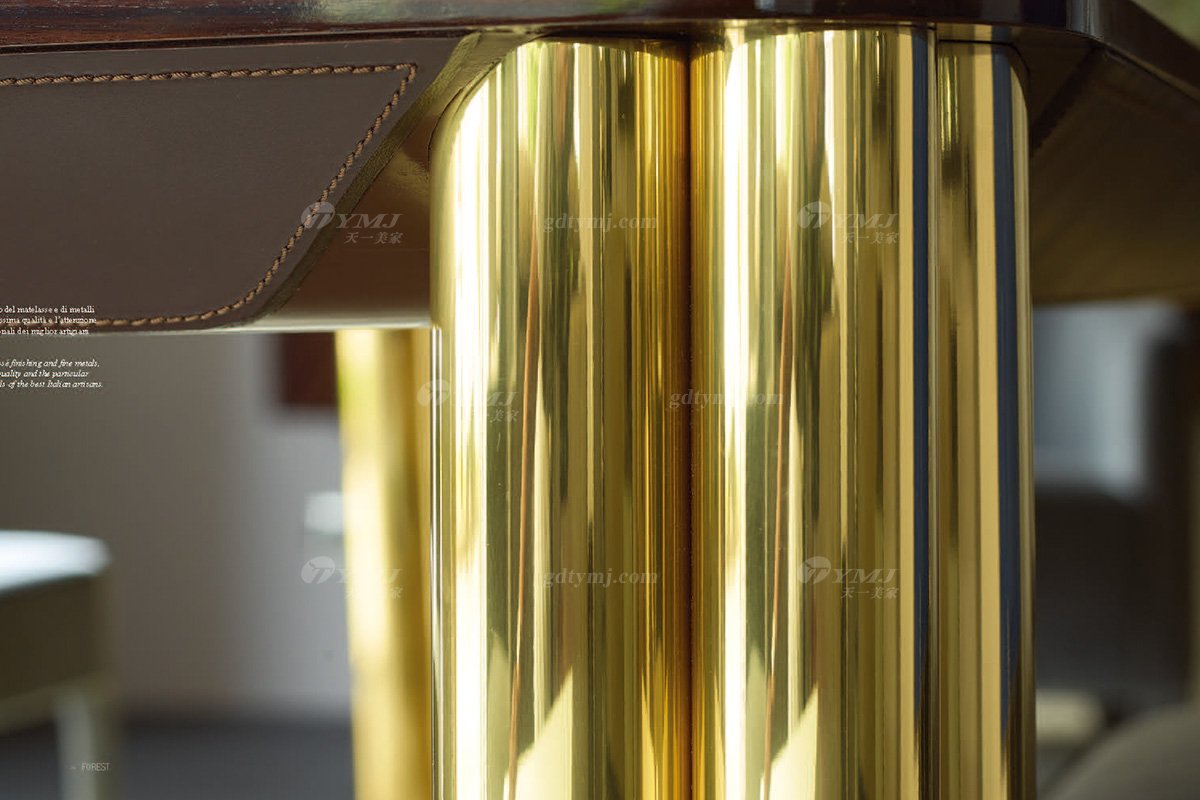 意大利100%純進口時尚輕奢家具品牌別墅家具奢華五金餐桌椅組合餐桌五金細節