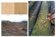 橡木、胡桃、白蠟?zāi)具€在傻傻分不清楚？手把手教你認(rèn)識(shí)現(xiàn)代極簡(jiǎn)家具的使用進(jìn)